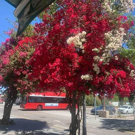 Daire Fantastic Loft With An Exquisite Design